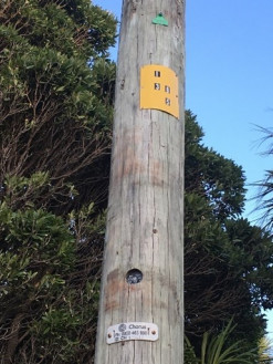 Photo of a Chorus pole